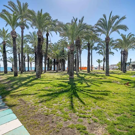 Vivendos - Tr29 - Carihuela *